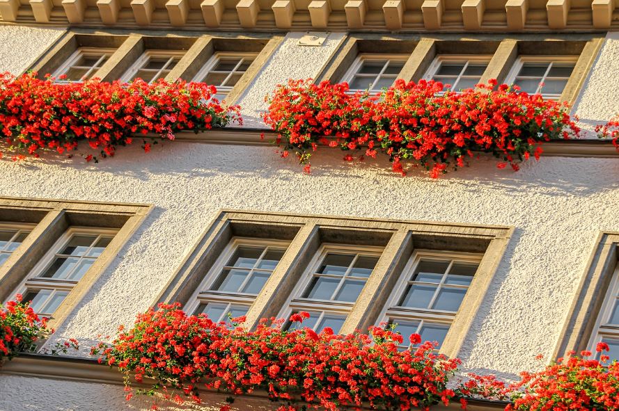 quelle couleur de volets pour une maison beige